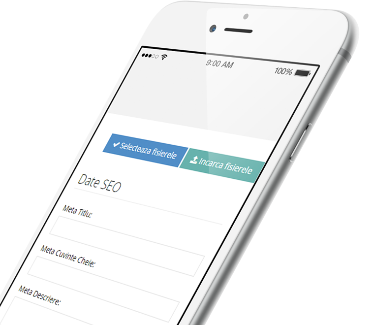 META titlu, descriere, cuvinte cheie