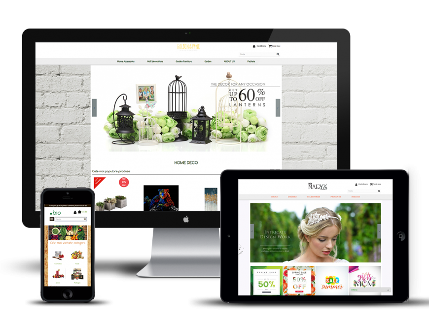 Teme responsive in 5 versiuni